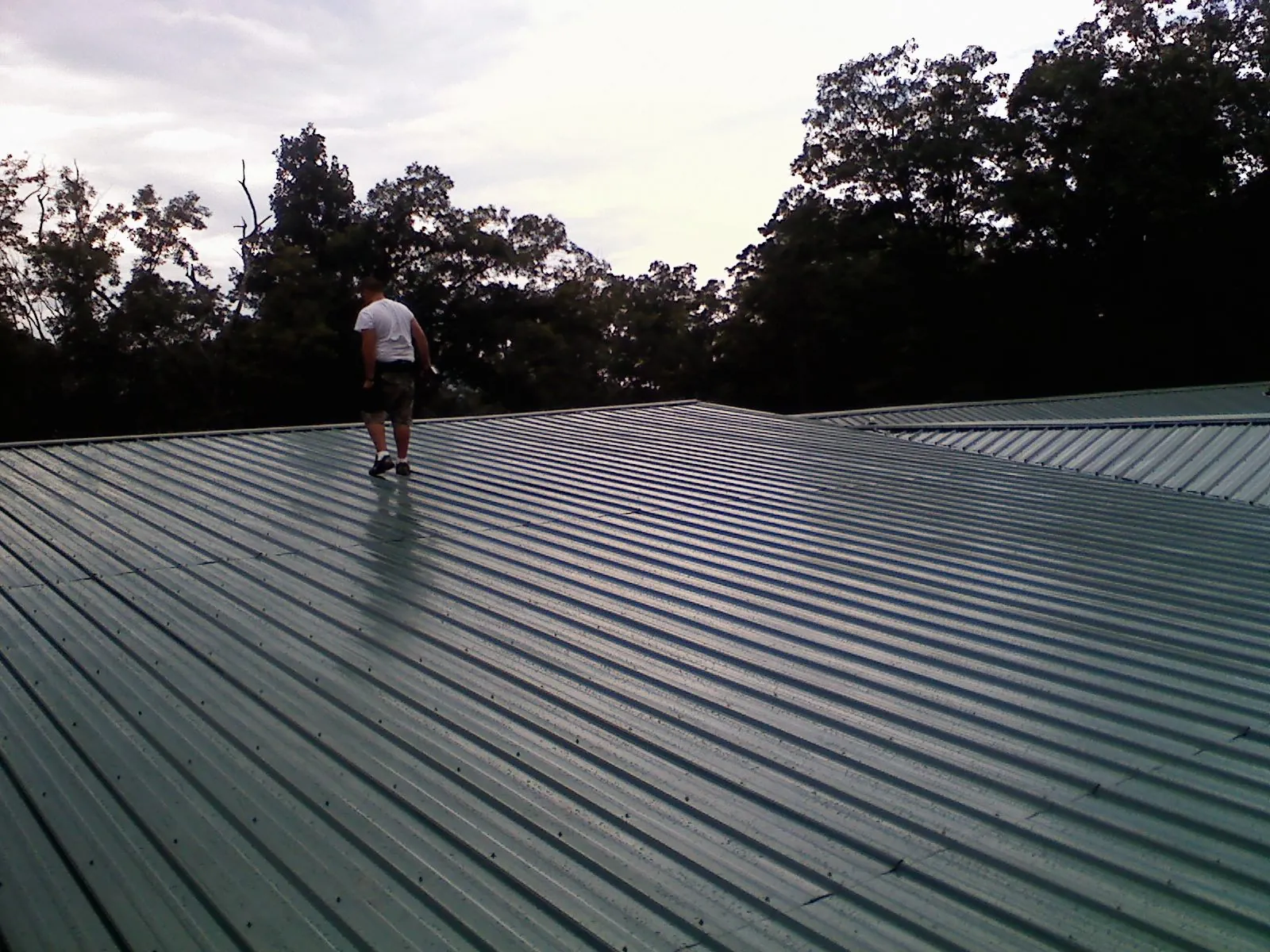 Roofer walking a wide expanse of new green metal roofing in Royal Oak